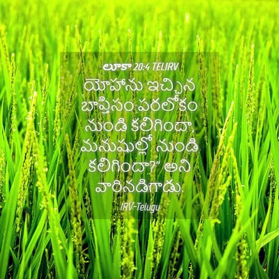 Picture 04 - లూకా 20:4 TELIRV - యోహాను ఇచ్చిన - Bible Verse Picture