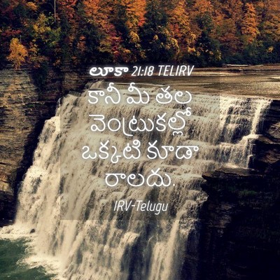 Picture 04 - లూకా 21:18 TELIRV - కానీ మీ తల - Bible Verse Picture