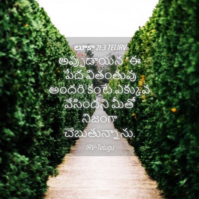 Picture 04 - లూకా 21:3 TELIRV - అప్పుడాయన “ఈ పేద - Bible Verse Picture