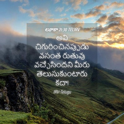 Picture 04 - లూకా 21:30 TELIRV - అవి - Bible Verse Picture