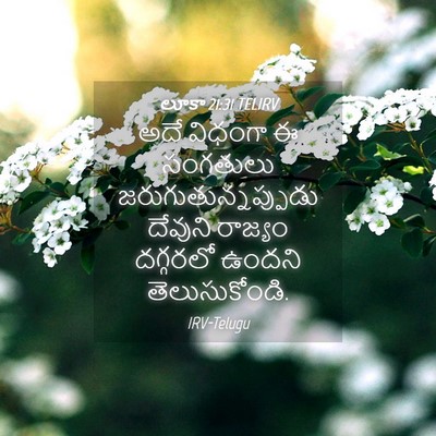 Picture 04 - లూకా 21:31 TELIRV - అదే విధంగా ఈ - Bible Verse Picture