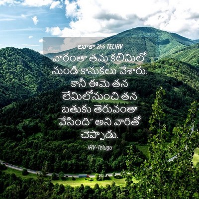 Picture 04 - లూకా 21:4 TELIRV - వారంతా తమ కలిమిలో - Bible Verse Picture