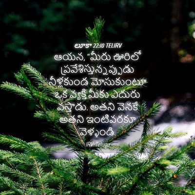 Picture 04 - లూకా 22:10 TELIRV - ఆయన, “మీరు ఊరిలో - Bible Verse Picture