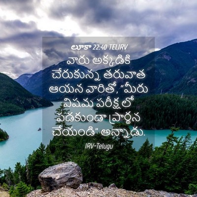 Picture 04 - లూకా 22:40 TELIRV - వారు అక్కడికి - Bible Verse Picture