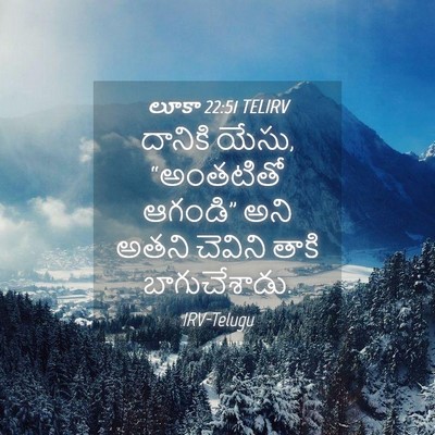Picture 04 - లూకా 22:51 TELIRV - దానికి యేసు, - Bible Verse Picture