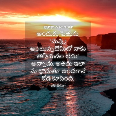 Picture 04 - లూకా 22:60 TELIRV - అందుకు పేతురు, - Bible Verse Picture