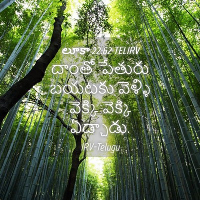 Picture 04 - లూకా 22:62 TELIRV - దాంతో పేతురు - Bible Verse Picture