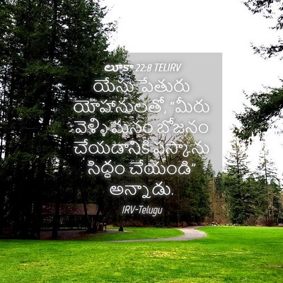 Picture 04 - లూకా 22:8 TELIRV - యేసు పేతురు - Bible Verse Picture