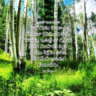 Picture 04 - లూకా 23:15 TELIRV - హేరోదుకు కూడా ఏ - Bible Verse Picture