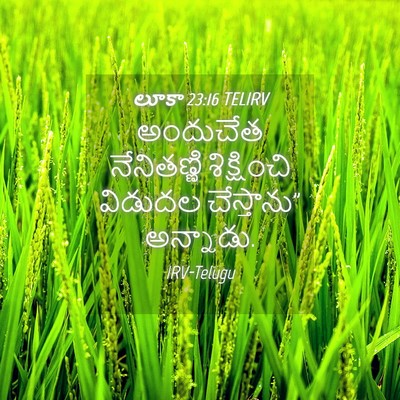 Picture 04 - లూకా 23:16 TELIRV - అందుచేత నేనితణ్ణి - Bible Verse Picture