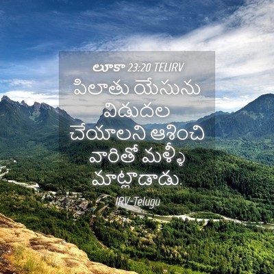 Picture 04 - లూకా 23:20 TELIRV - పిలాతు యేసును - Bible Verse Picture