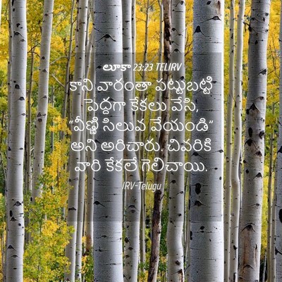 Picture 04 - లూకా 23:23 TELIRV - కాని వారంతా - Bible Verse Picture
