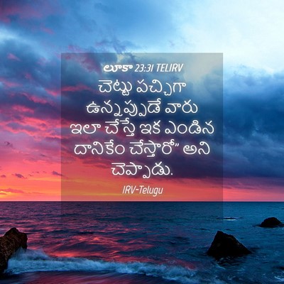 Picture 04 - లూకా 23:31 TELIRV - చెట్టు పచ్చిగా - Bible Verse Picture