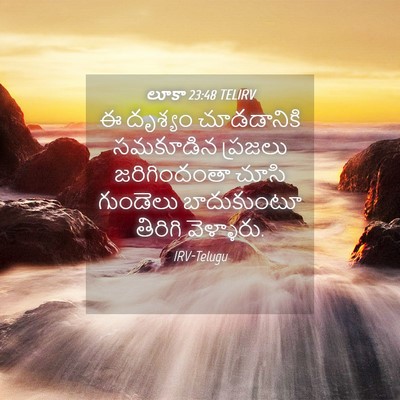 Picture 04 - లూకా 23:48 TELIRV - ఈ దృశ్యం - Bible Verse Picture