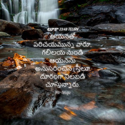 Picture 04 - లూకా 23:49 TELIRV - ఆయనతో పరిచయమున్న - Bible Verse Picture