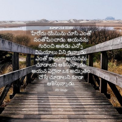 Picture 04 - లూకా 23:8 TELIRV - హేరోదు యేసును - Bible Verse Picture