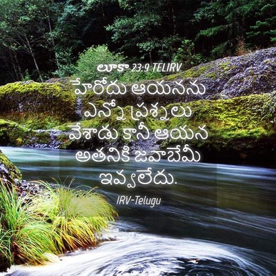 Picture 04 - లూకా 23:9 TELIRV - హేరోదు ఆయనను - Bible Verse Picture