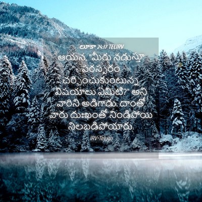 Picture 04 - లూకా 24:17 TELIRV - ఆయన, “మీరు నడుస్తూ - Bible Verse Picture