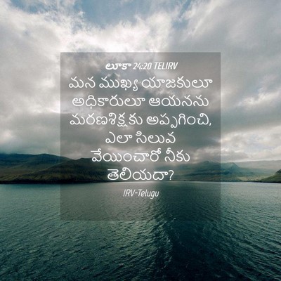 Picture 04 - లూకా 24:20 TELIRV - మన ముఖ్య యాజకులూ - Bible Verse Picture