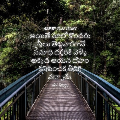 Picture 04 - లూకా 24:22 TELIRV - అయితే మాలో కొందరు - Bible Verse Picture