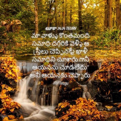 Picture 04 - లూకా 24:24 TELIRV - మా వాళ్ళు - Bible Verse Picture