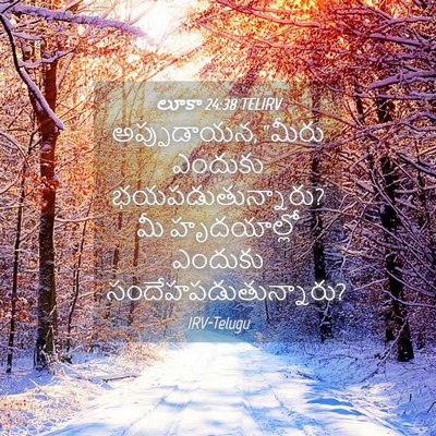 Picture 04 - లూకా 24:38 TELIRV - అప్పుడాయన, “మీరు - Bible Verse Picture