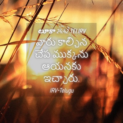 Picture 04 - లూకా 24:42 TELIRV - వారు కాల్చిన చేప - Bible Verse Picture