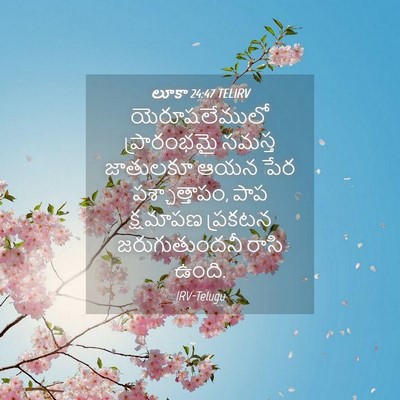 Picture 04 - లూకా 24:47 TELIRV - యెరూషలేములో - Bible Verse Picture