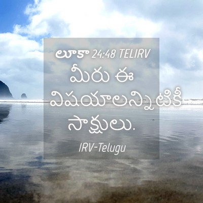 Picture 04 - లూకా 24:48 TELIRV - మీరు ఈ - Bible Verse Picture