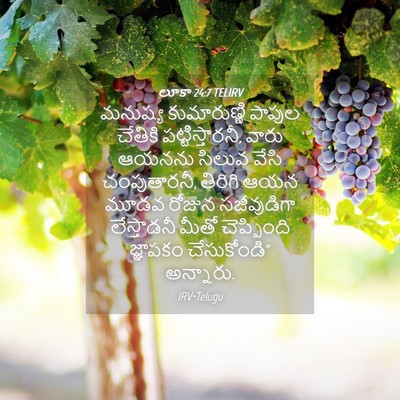 Picture 04 - లూకా 24:7 TELIRV - మనుష్య కుమారుణ్ణి - Bible Verse Picture