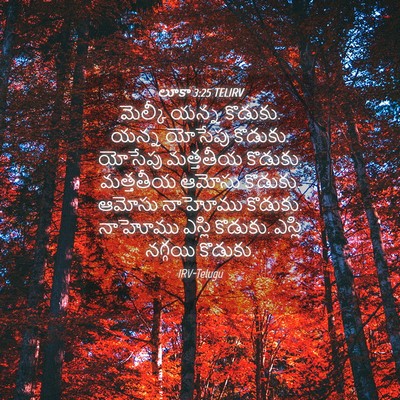 Picture 04 - లూకా 3:25 TELIRV - మెల్కీ యన్న - Bible Verse Picture