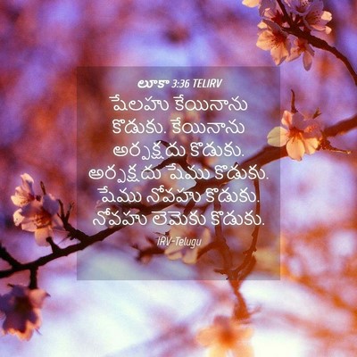 Picture 04 - లూకా 3:36 TELIRV - షేలహు కేయినాను - Bible Verse Picture