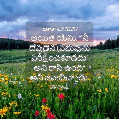 Picture 04 - లూకా 4:12 TELIRV - అయితే యేసు, “‘నీ - Bible Verse Picture