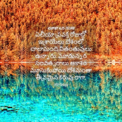 Picture 04 - లూకా 4:25 TELIRV - ఏలీయా ప్రవక్త - Bible Verse Picture