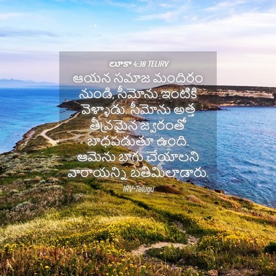 Picture 04 - లూకా 4:38 TELIRV - ఆయన సమాజ మందిరం - Bible Verse Picture