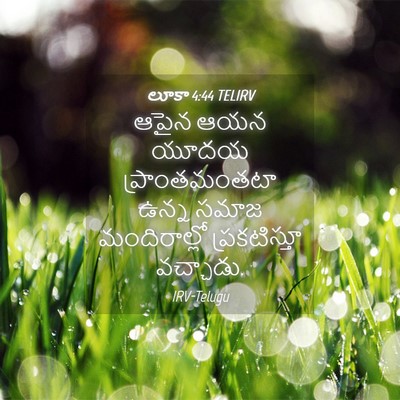 Picture 04 - లూకా 4:44 TELIRV - ఆపైన ఆయన యూదయ - Bible Verse Picture