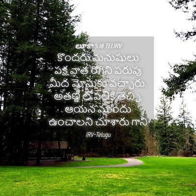 Picture 04 - లూకా 5:18 TELIRV - కొందరు మనుషులు - Bible Verse Picture