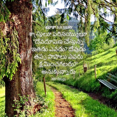 Picture 04 - లూకా 5:21 TELIRV - శాస్త్రులూ - Bible Verse Picture