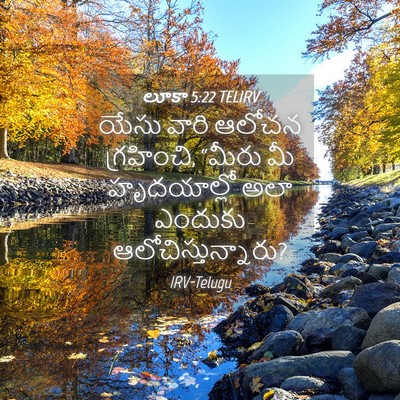 Picture 04 - లూకా 5:22 TELIRV - యేసు వారి ఆలోచన - Bible Verse Picture