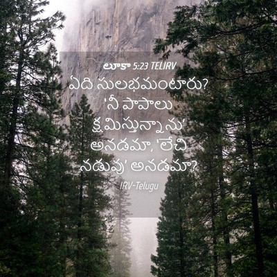 Picture 04 - లూకా 5:23 TELIRV - ఏది సులభమంటారు? - Bible Verse Picture