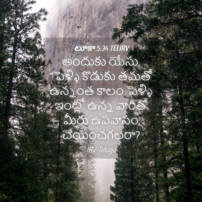 Picture 04 - లూకా 5:34 TELIRV - అందుకు యేసు, - Bible Verse Picture