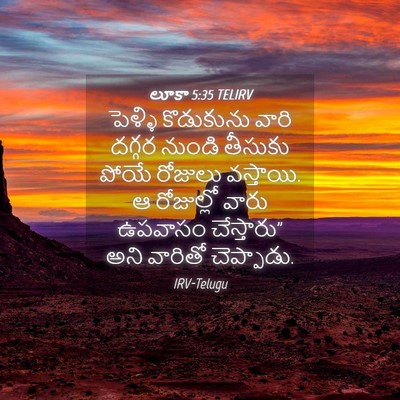 Picture 04 - లూకా 5:35 TELIRV - పెళ్ళి కొడుకును - Bible Verse Picture