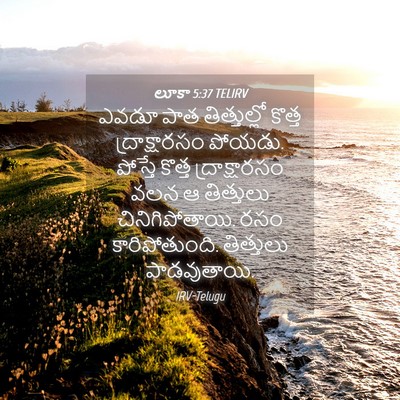 Picture 04 - లూకా 5:37 TELIRV - ఎవడూ పాత - Bible Verse Picture
