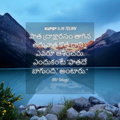 Picture 04 - లూకా 5:39 TELIRV - పాత ద్రాక్షారసం - Bible Verse Picture