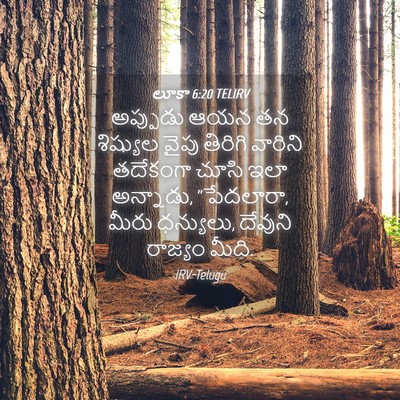 Picture 04 - లూకా 6:20 TELIRV - అప్పుడు ఆయన తన - Bible Verse Picture
