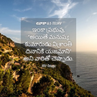 Picture 04 - లూకా 6:5 TELIRV - ఇంకా ప్రభువు, - Bible Verse Picture