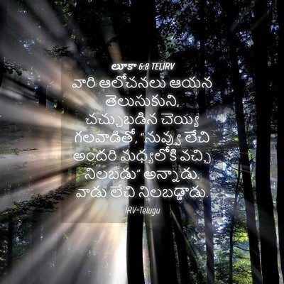 Picture 04 - లూకా 6:8 TELIRV - వారి ఆలోచనలు ఆయన - Bible Verse Picture