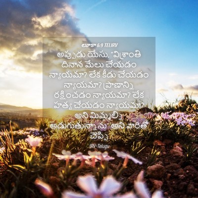 Picture 04 - లూకా 6:9 TELIRV - అప్పుడు యేసు, - Bible Verse Picture