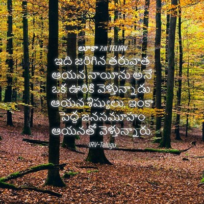 Picture 04 - లూకా 7:11 TELIRV - ఇది జరిగిన తరువాత - Bible Verse Picture