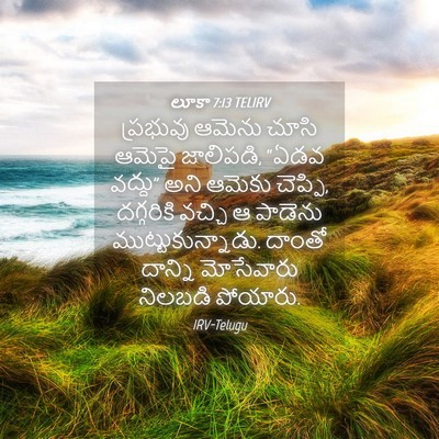 Picture 04 - లూకా 7:13 TELIRV - ప్రభువు ఆమెను - Bible Verse Picture